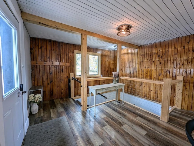 interior space featuring wood walls and hardwood / wood-style floors