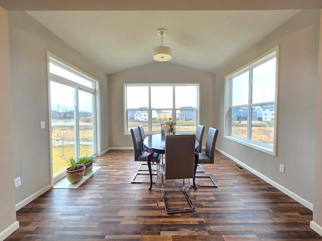 dining space featuring vaulted ceiling and dark wood-type flooring