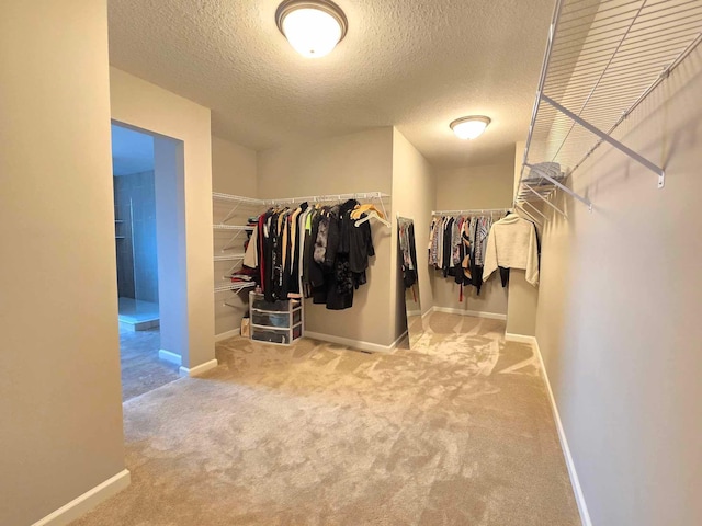 walk in closet featuring carpet floors