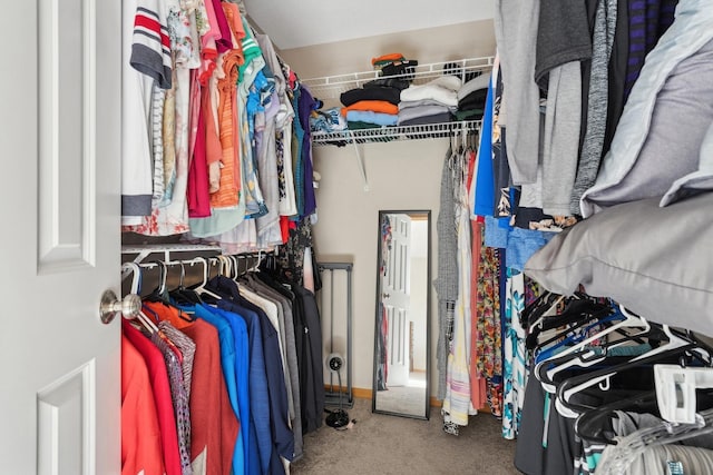 walk in closet featuring carpet