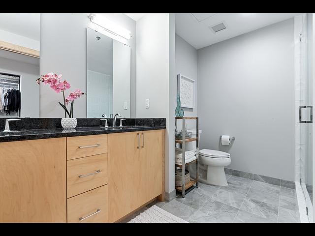 bathroom with vanity, toilet, and walk in shower