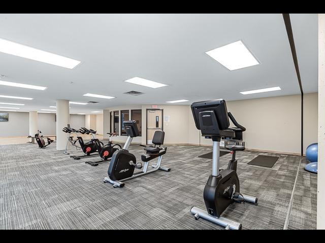 gym featuring carpet flooring