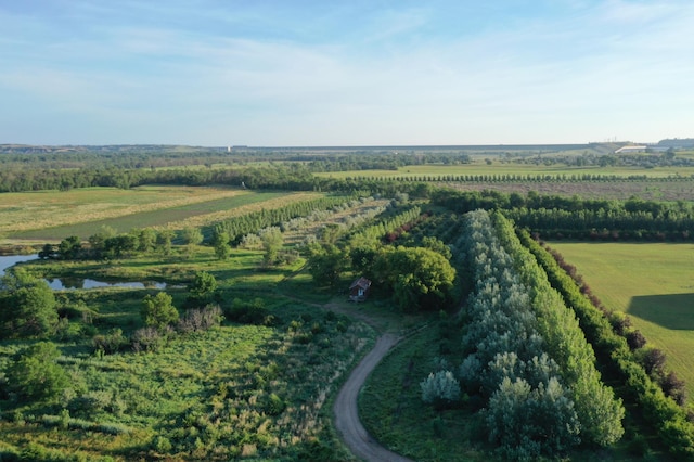 bird's eye view with a rural view