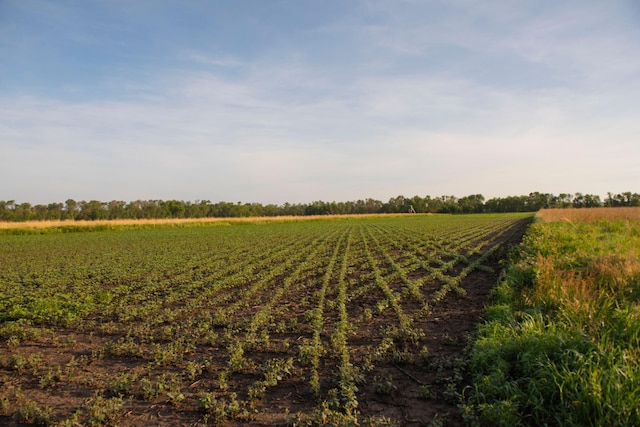 view of yard featuring a rural view