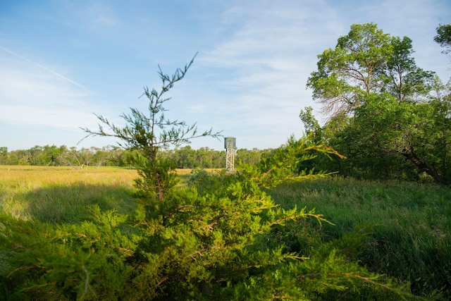 view of landscape with a rural view