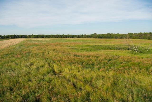 view of nature featuring a rural view