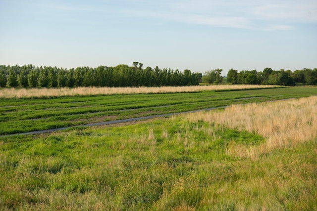 view of nature with a rural view