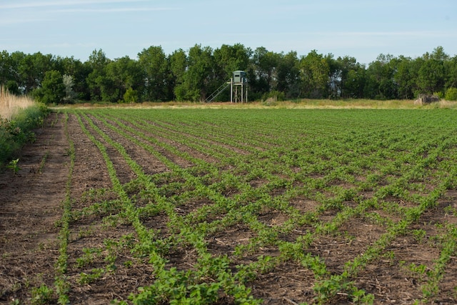 view of yard with a rural view