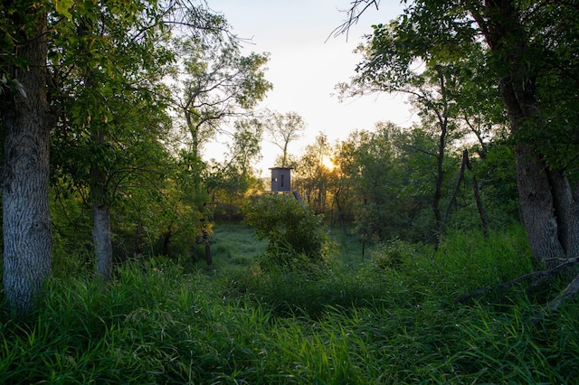 view of nature