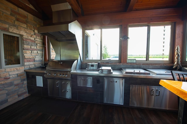 kitchen with stainless steel counters, dark hardwood / wood-style flooring, and lofted ceiling