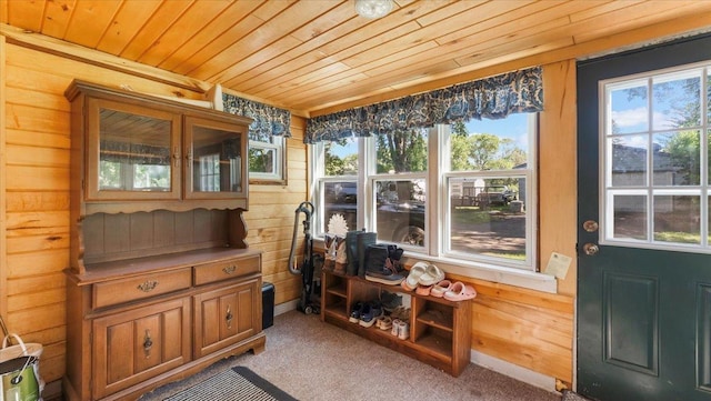 205 Broadway St SE, Isanti, MN 55040 - sunroom featuring wood ceiling, wood walls, plenty of natural light, and carpet floors