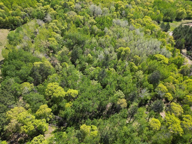 TBD County 2, Nevis, MN 56467 - photo 7