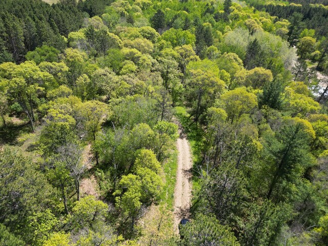 TBD County 2, Nevis, MN 56467 - photo 8