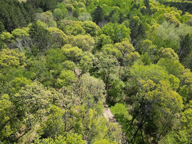 TBD County 2, Nevis, MN 56467 - photo 9