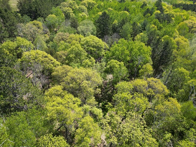 TBD County 2, Nevis, MN 56467 - photo 10