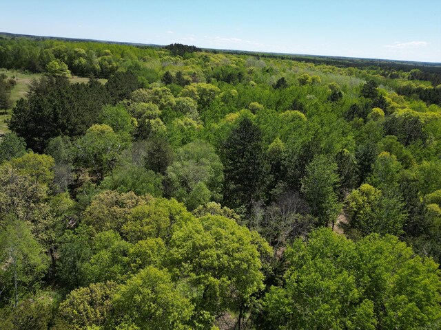TBD County 2, Nevis, MN 56467 - photo 11
