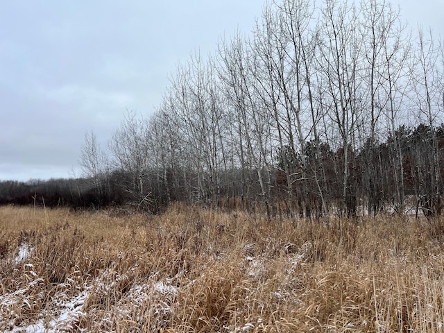 view of local wilderness