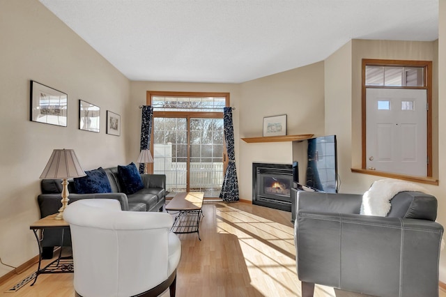 living room featuring light hardwood / wood-style flooring