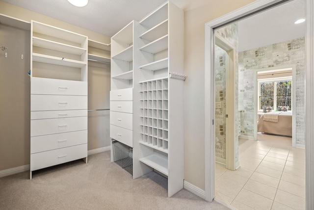 spacious closet with light carpet