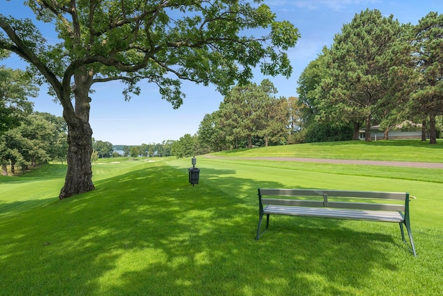 view of property's community with a yard