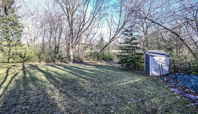 view of yard featuring a storage shed