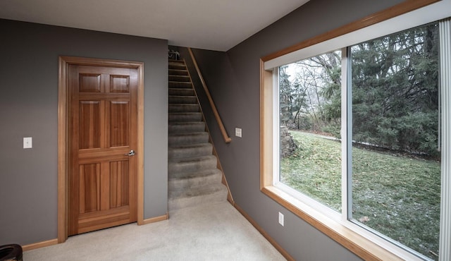 staircase featuring carpet and a healthy amount of sunlight