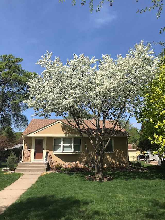 view of front of home featuring a front yard