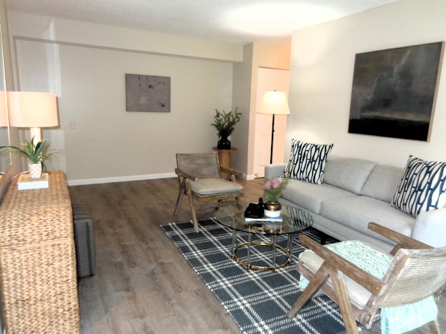 living room with wood-type flooring