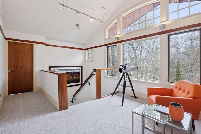sitting room featuring a healthy amount of sunlight, track lighting, and carpet