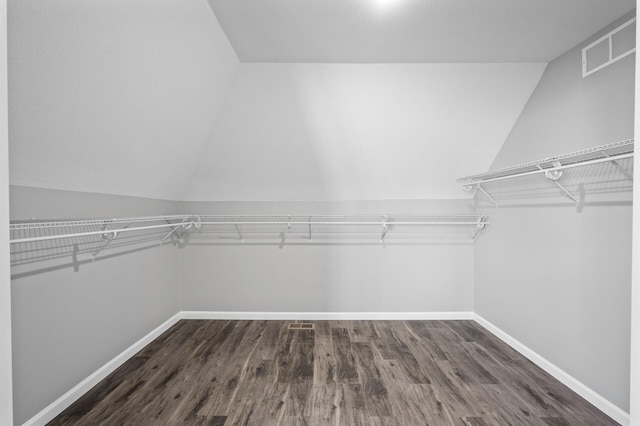 walk in closet featuring dark hardwood / wood-style floors