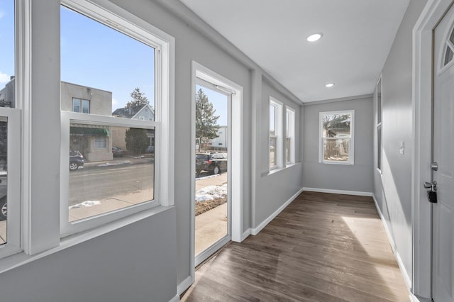 doorway featuring dark hardwood / wood-style flooring and plenty of natural light