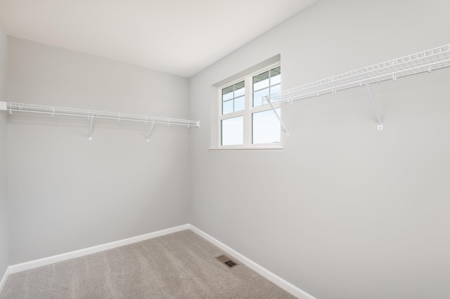 walk in closet with carpet floors