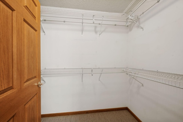 walk in closet with carpet