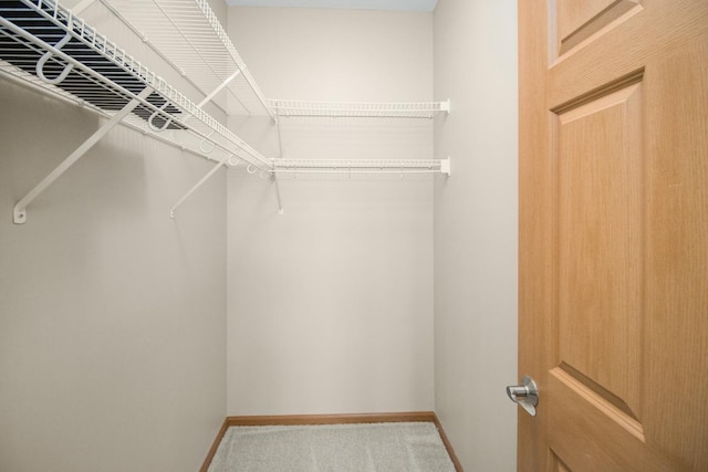 spacious closet featuring carpet floors