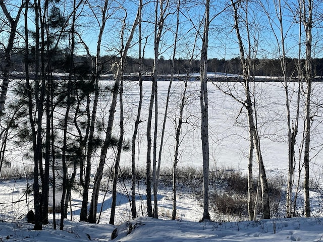 6589 Voyageurs Trl, Biwabik MN, 55708 land for sale