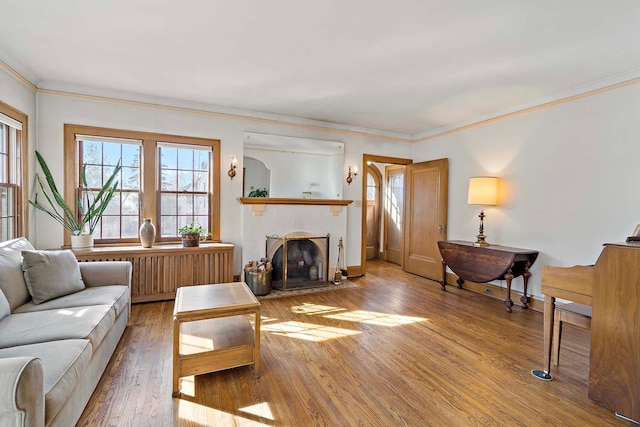 living area featuring a fireplace with flush hearth, crown molding, radiator heating unit, and wood finished floors