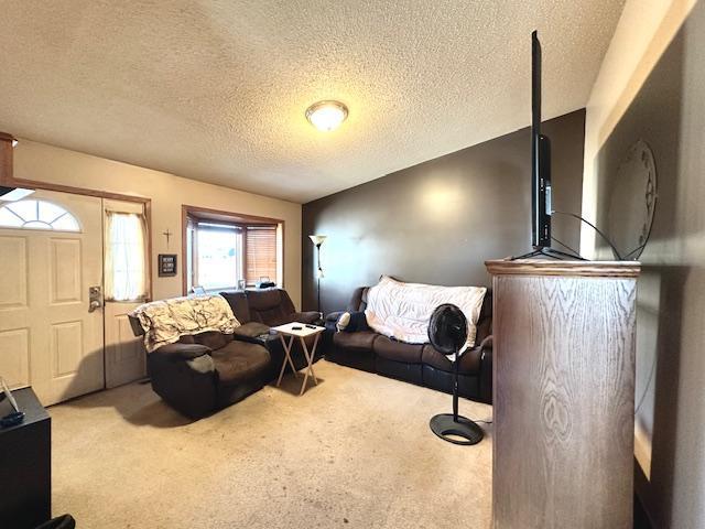 living room with carpet floors and a textured ceiling