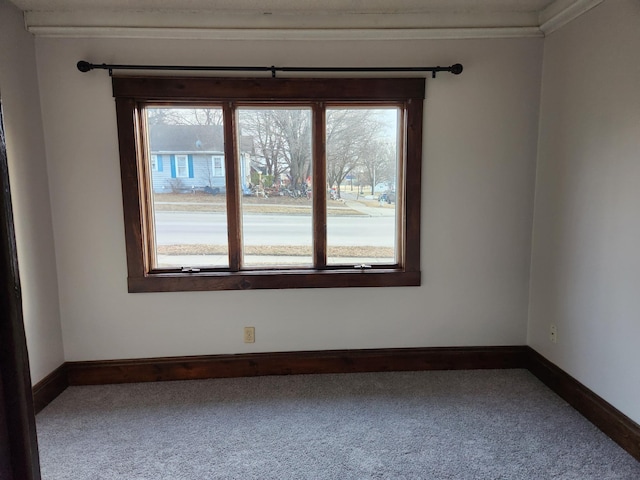 carpeted spare room with crown molding