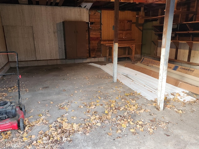 basement with wood walls