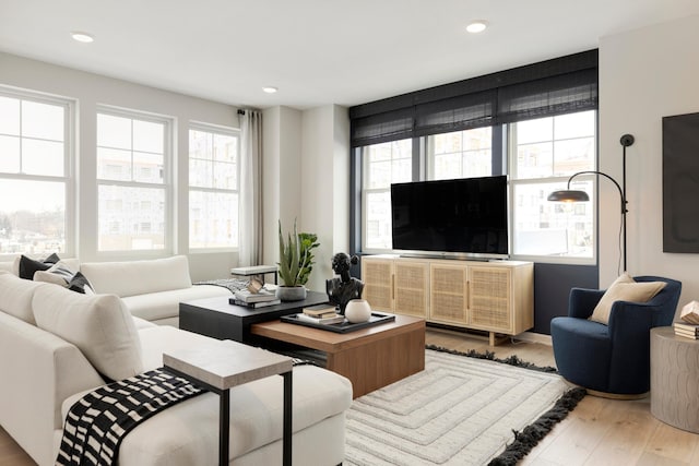 living room featuring wood-type flooring and plenty of natural light