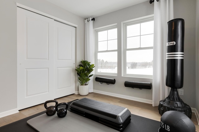 exercise room featuring light hardwood / wood-style floors