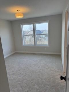 spare room with plenty of natural light and light carpet