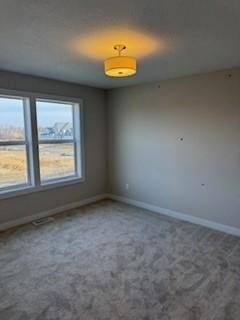 empty room featuring plenty of natural light and carpet floors