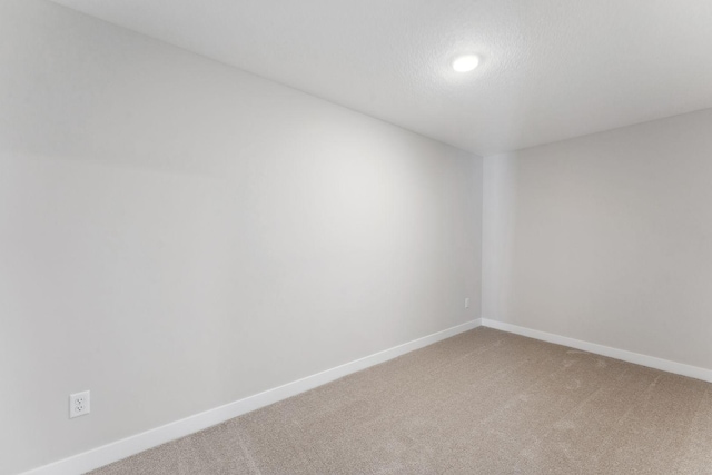 spare room featuring carpet and a textured ceiling