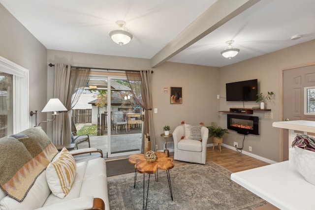 living room featuring hardwood / wood-style flooring