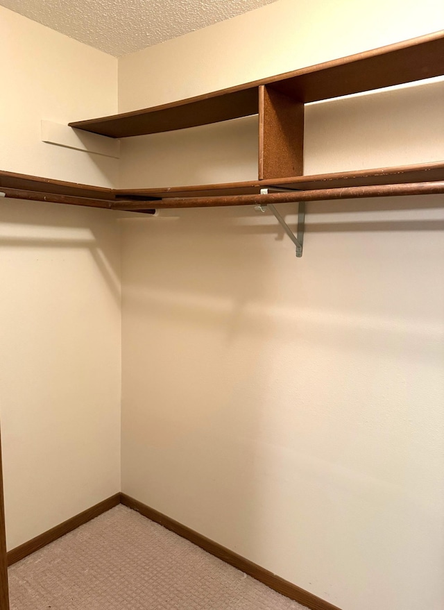 2402 Kenwood Dr SW, Willmar, MN 56201 - spacious closet with light carpet