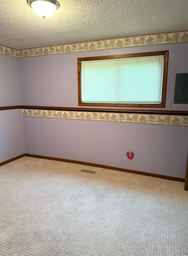 2402 Kenwood Dr SW, Willmar, MN 56201 - carpeted empty room featuring electric panel and a textured ceiling
