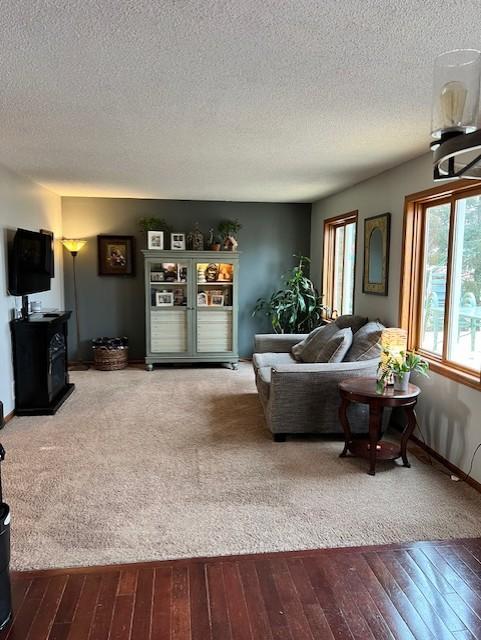 living room with a textured ceiling and hardwood / wood-style floors