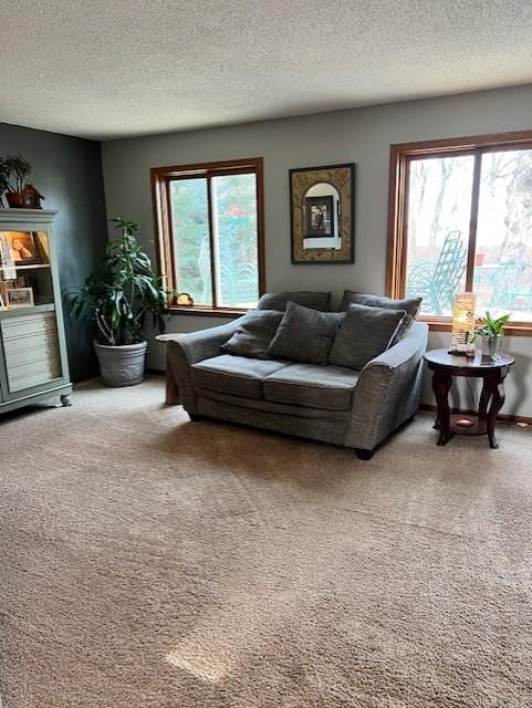 carpeted living room featuring a textured ceiling