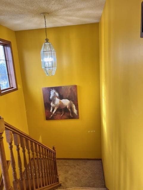 stairway featuring a textured ceiling and carpet